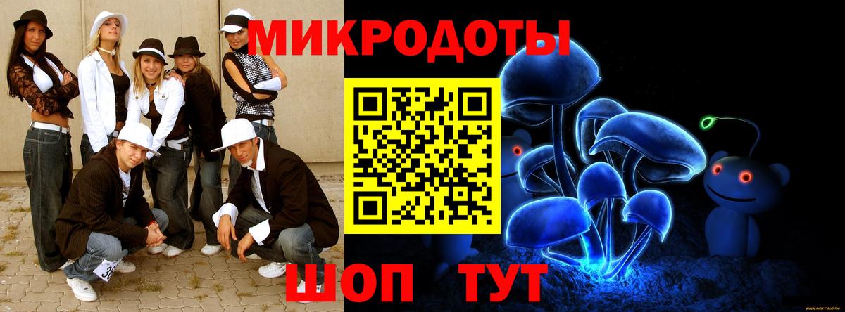 Псилоцибиновые грибы Psilocybe Кузнецк