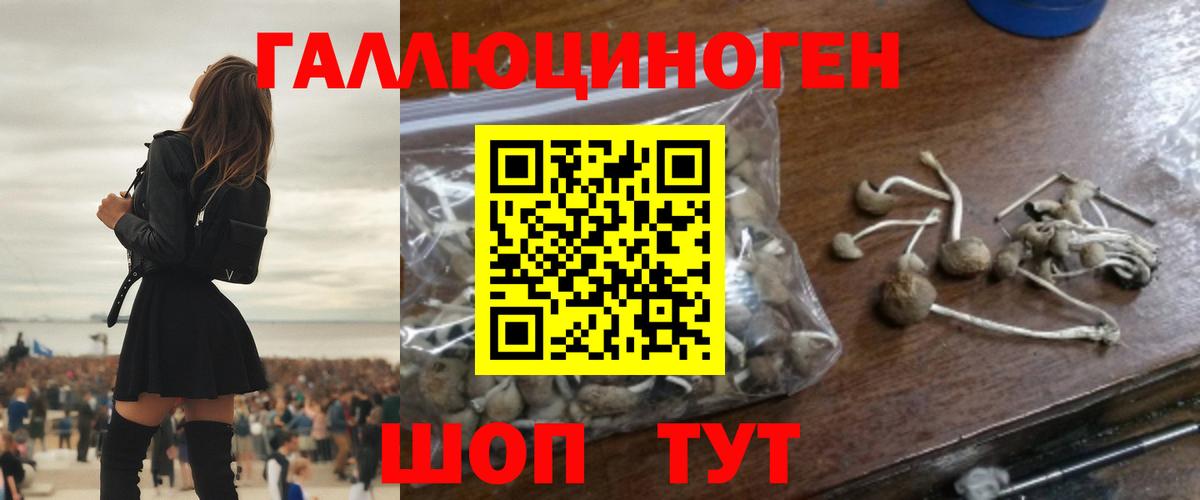Галлюциногенные грибы прущие грибы  Вход с VPN  Кузнецк 